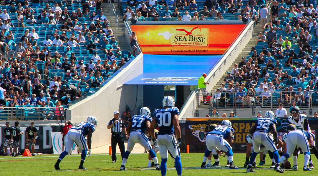 Vomitory Display Installation Photo