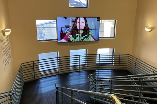 LCD video wall in high traffic student hallway